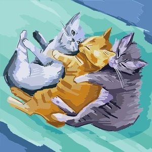 Meet your Posher, Grace